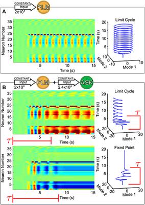 Multistability and Long-Timescale Transients Encoded by Network Structure in a Model of C. elegans Connectome Dynamics